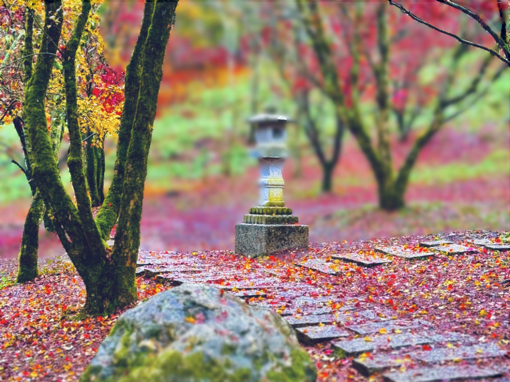 福壽山冬楓美景